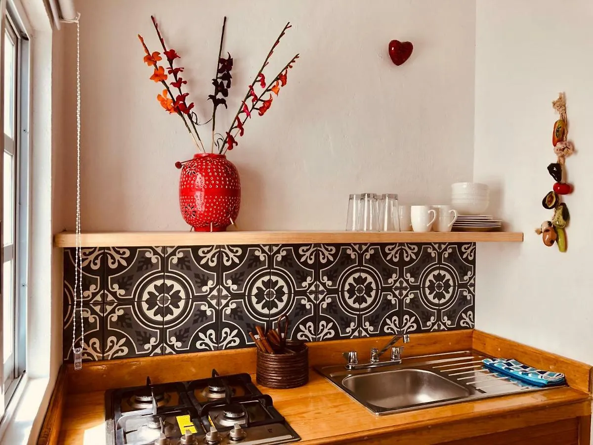 Pensión Casa Alberto Cozumel México