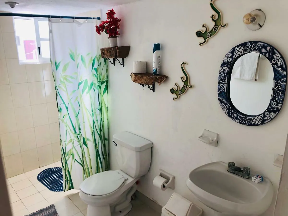 Pensión Casa Alberto Cozumel